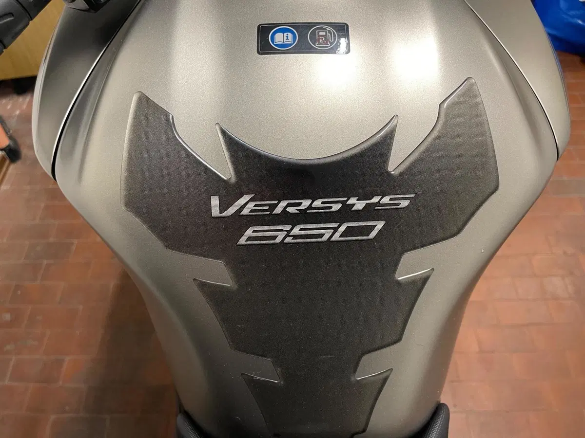 Kawasaki Versys 650 Grand Tourer (2017 - 20) (9)