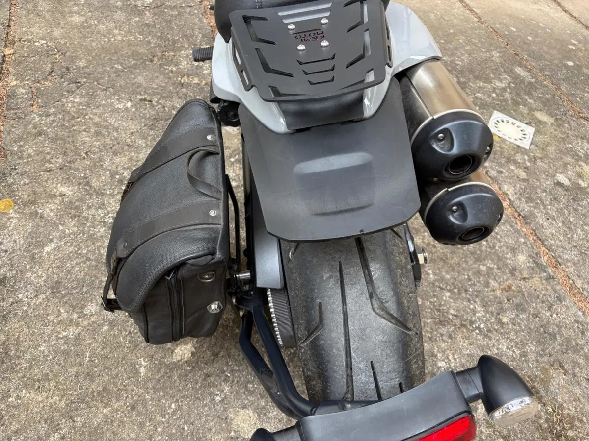 Harley-Davidson Sportster S (2022 - 24) (8)