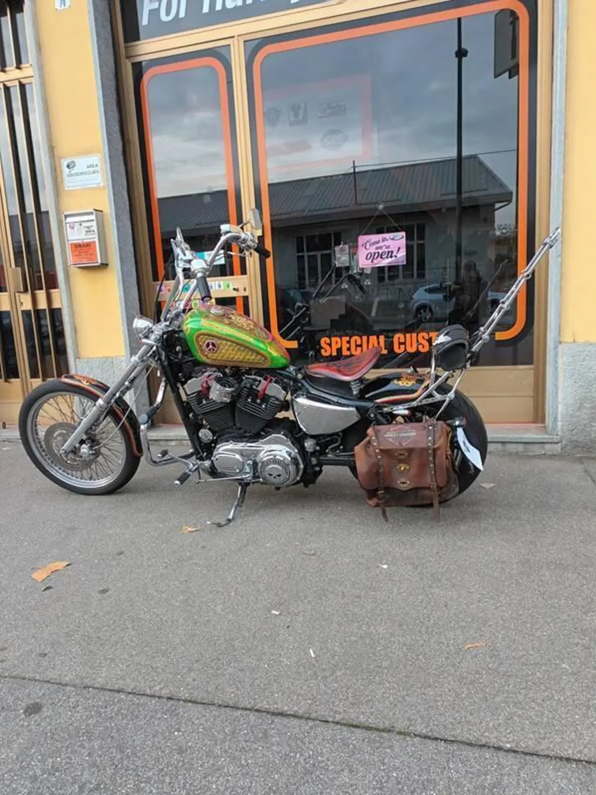Harley-Davidson 883 Low (2005) - XL 883L