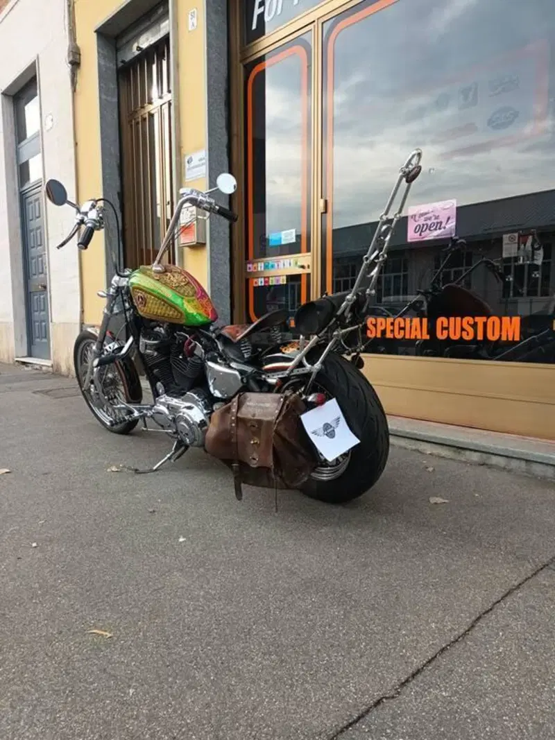 Harley-Davidson 883 Low (2005) - XL 883L (2)