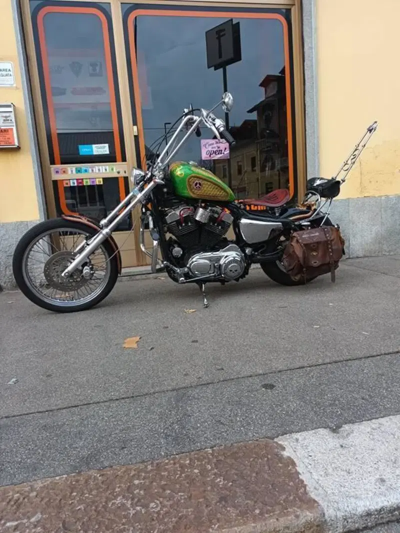 Harley-Davidson 883 Low (2005) - XL 883L (3)