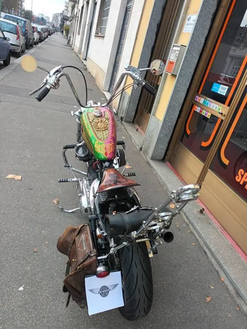 Harley-Davidson 883 Low (2005) - XL 883L (6)