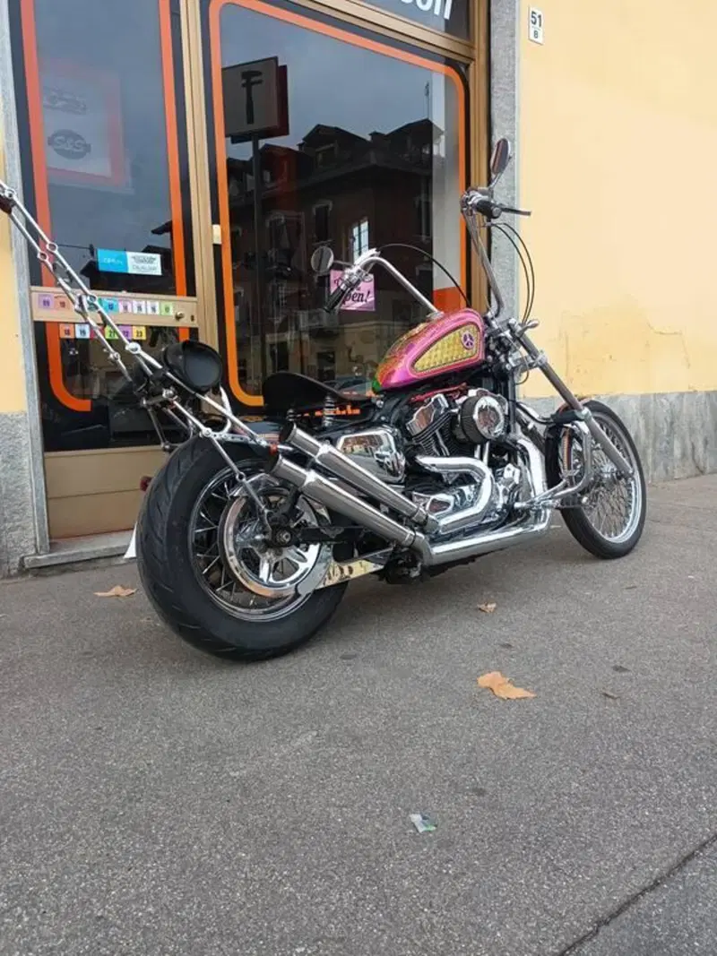 Harley-Davidson 883 Low (2005) - XL 883L (9)