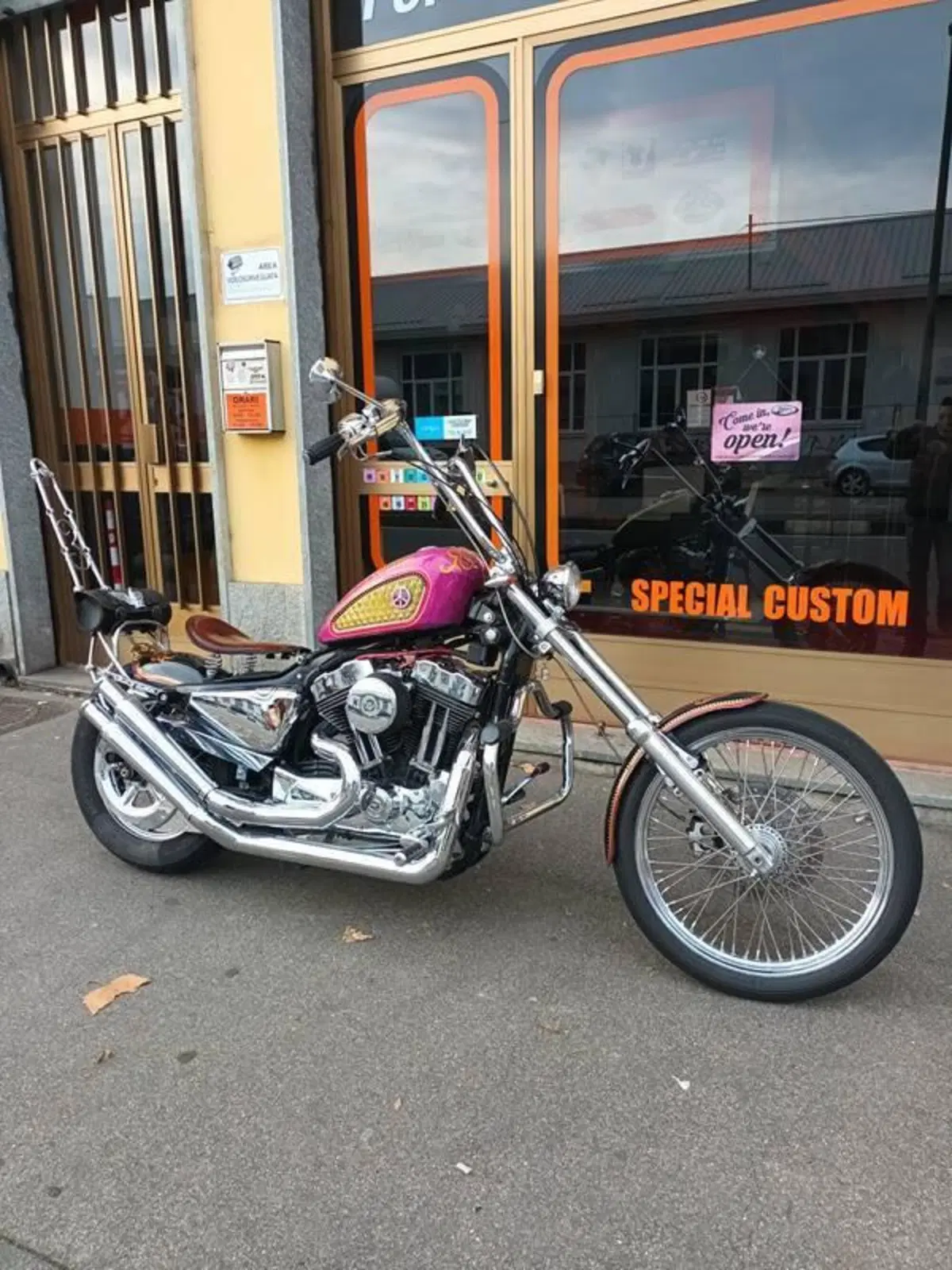 Harley-Davidson 883 Low (2005) - XL 883L (13)
