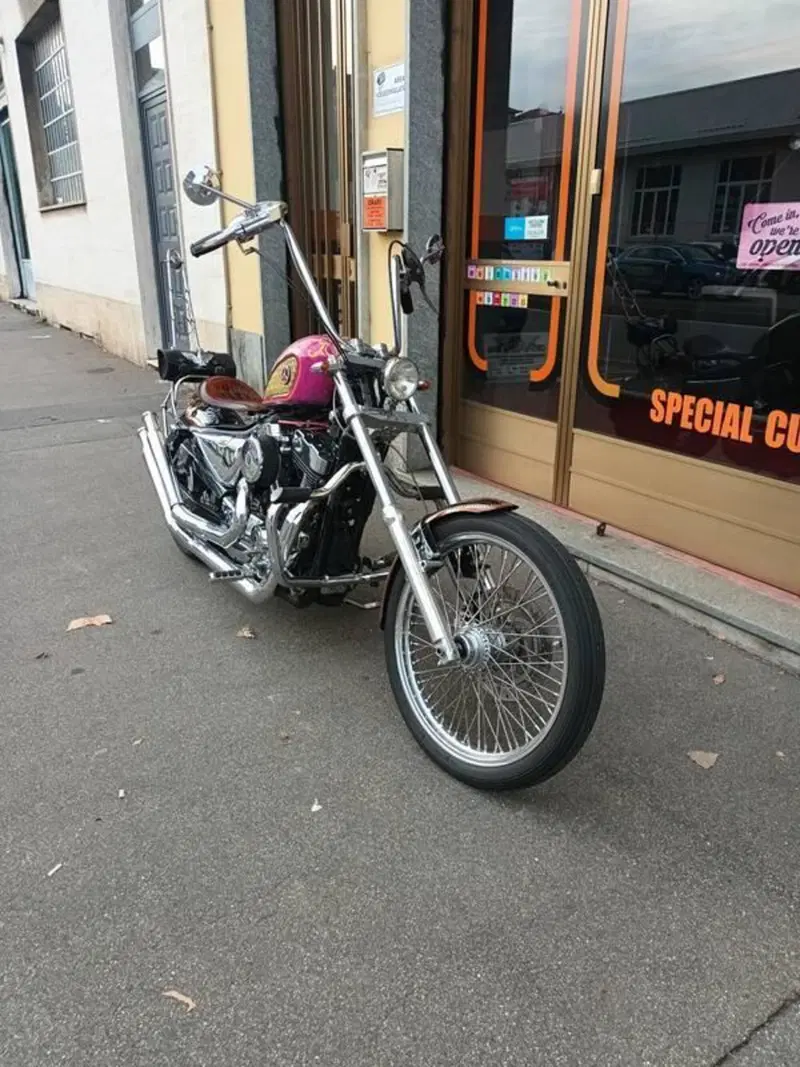 Harley-Davidson 883 Low (2005) - XL 883L (14)