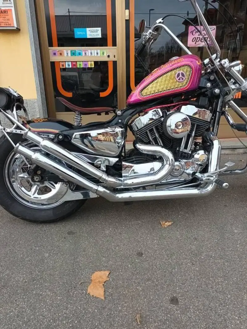 Harley-Davidson 883 Low (2005) - XL 883L (15)