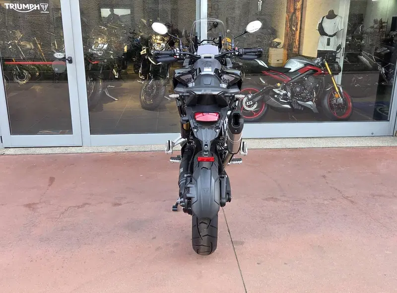 Triumph Tiger 1200 GT Pro (2024 - 26) (6)