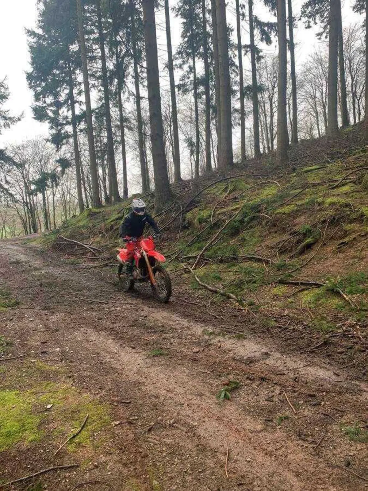 Il cuore pulsante dell’Adventure secondo Honda? L'Europa. (40)