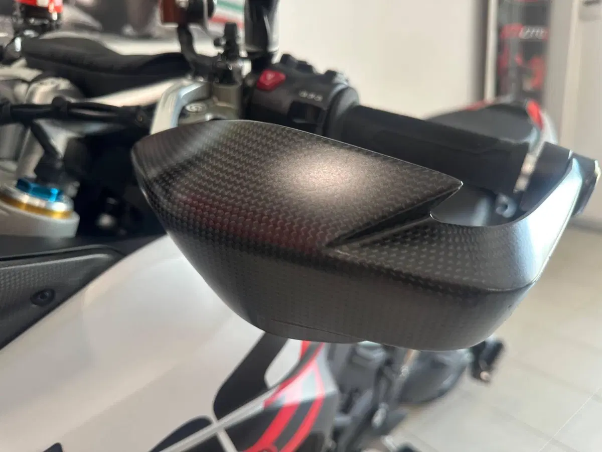 Ducati Multistrada V4 RS (2024 - 25) (4)
