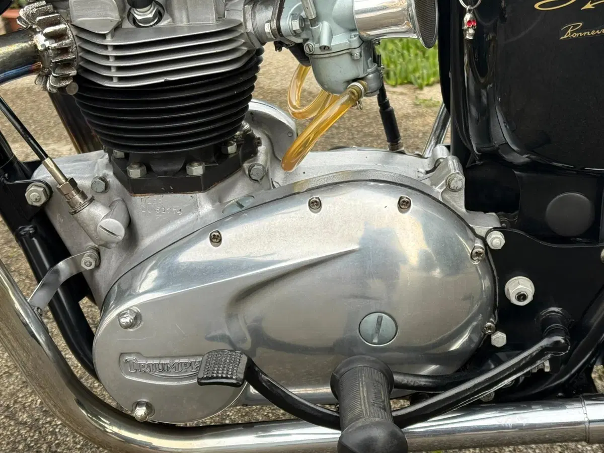 Triumph  Bonneville t120r America 1967 (4)