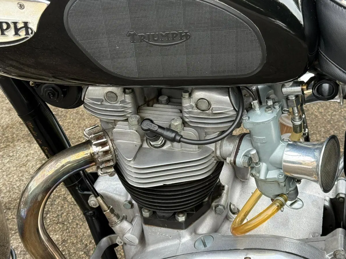 Triumph  Bonneville t120r America 1967 (6)