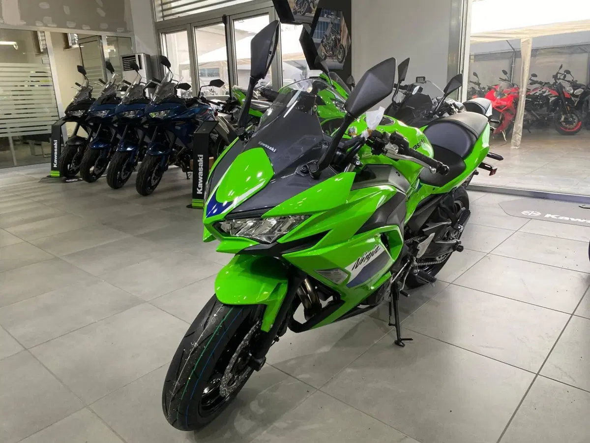 Kawasaki Ninja 650 (2025 - 26) (3)