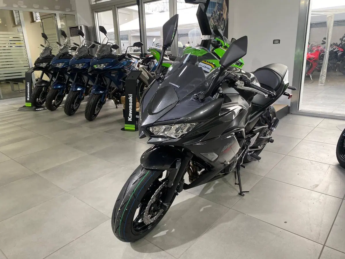 Kawasaki Ninja 650 (2025 - 26) (3)