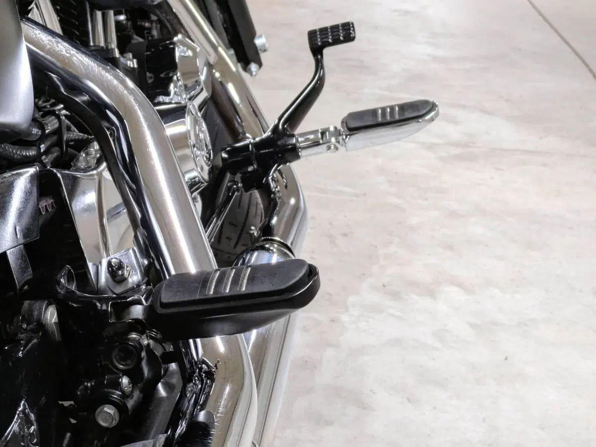 Harley-Davidson 1200 Custom (2018 - 20) - XL1200C (8)
