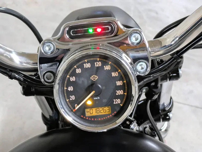 Harley-Davidson 1200 Custom (2018 - 20) - XL1200C (15)