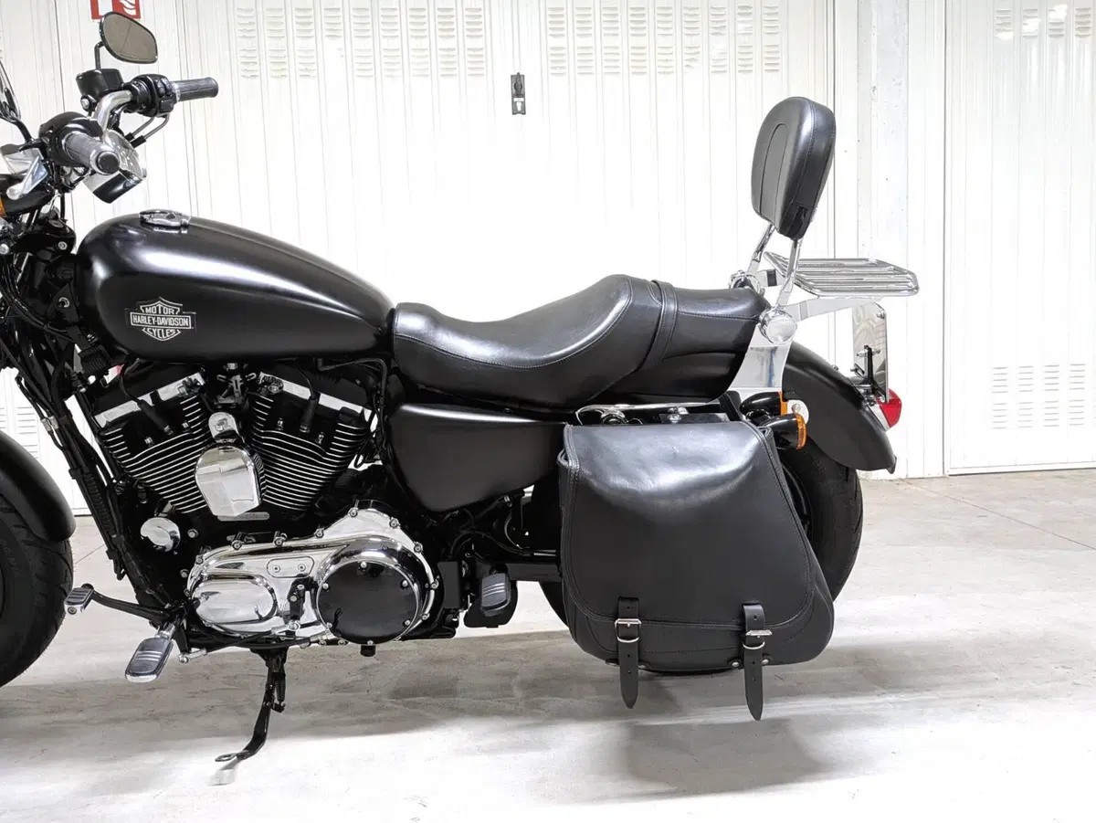 Harley-Davidson 1200 Custom (2018 - 20) - XL1200C (3)