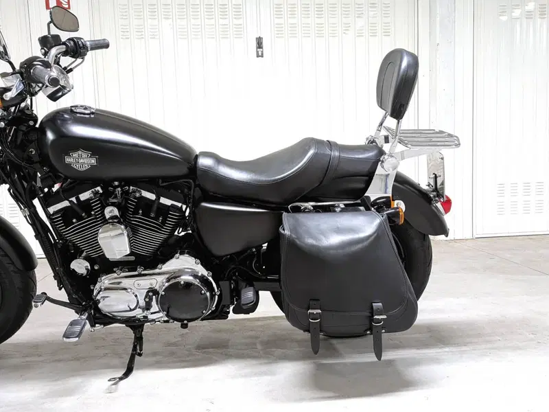 Harley-Davidson 1200 Custom (2018 - 20) - XL1200C (3)