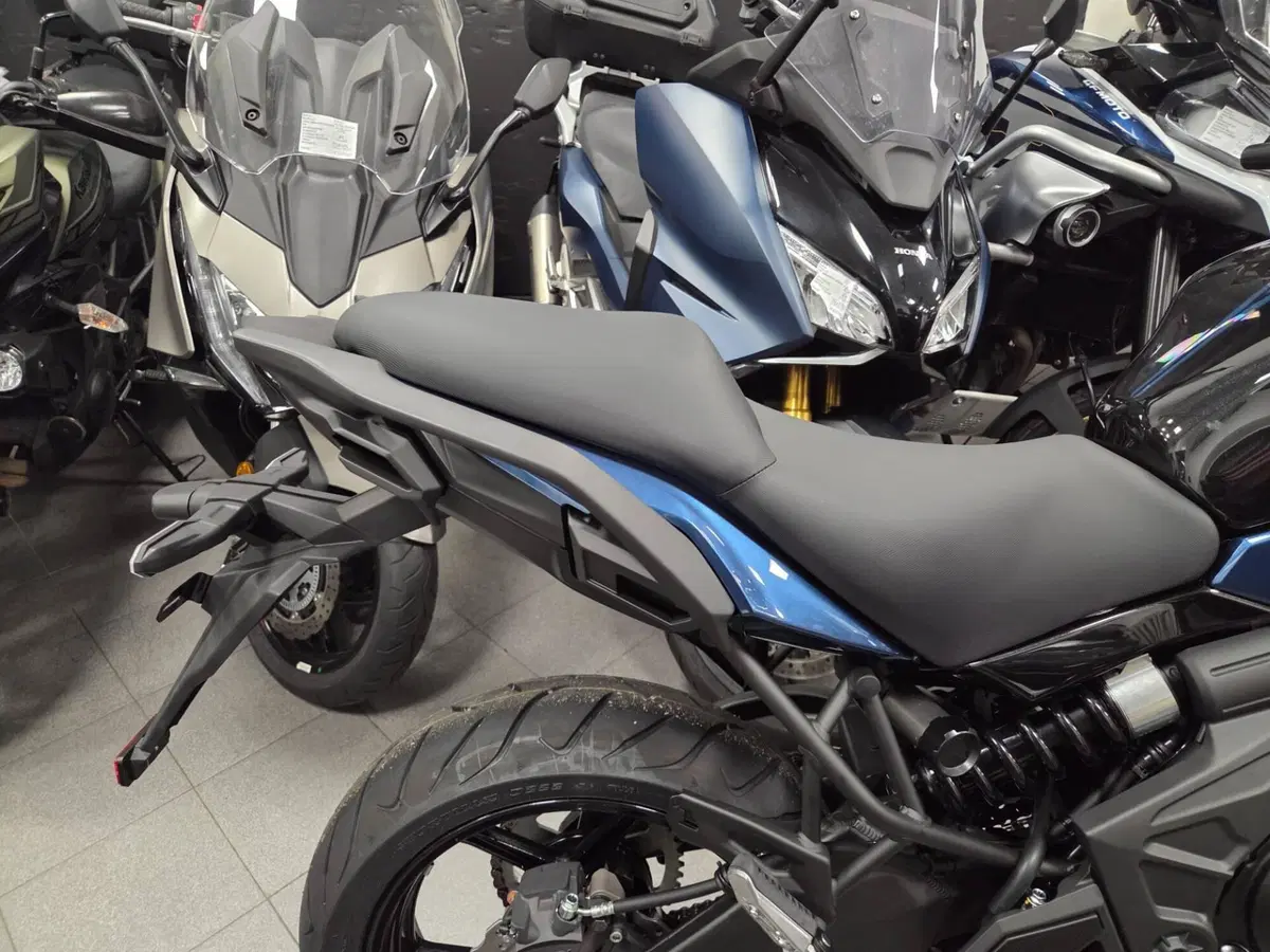 Kawasaki Versys 650 (2025 - 26) (2)