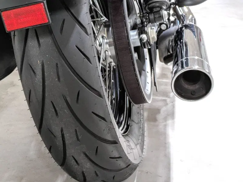 Harley-Davidson 1200 Custom (2018 - 20) - XL1200C (12)