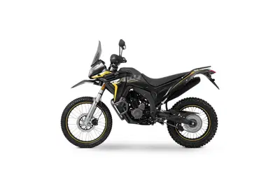 Voge Valico 300 Rally (2022 - 26) nuova