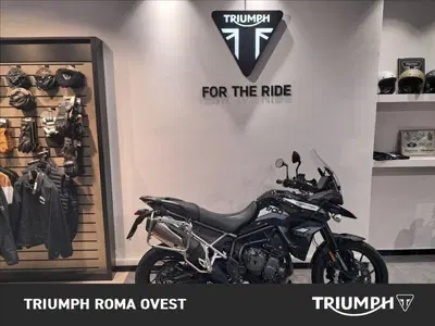 Triumph Tiger 900 GT Pro (2020 - 23) usata