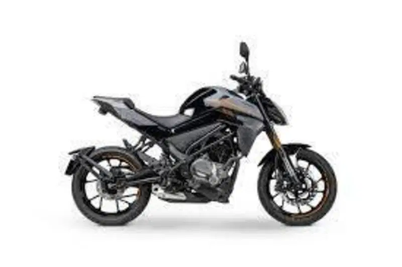 CFMOTO 300NK (2021 - 26) (3)