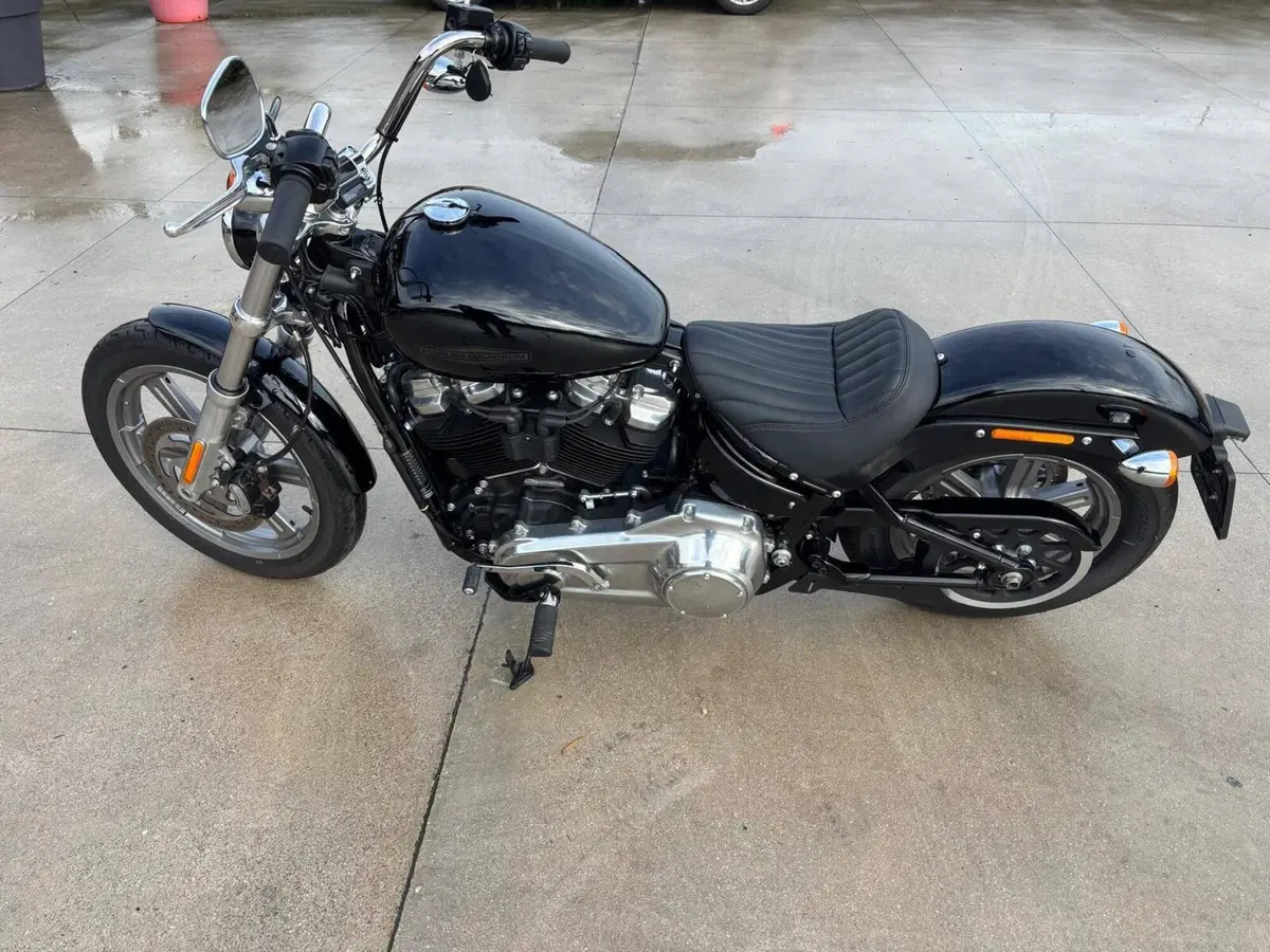 Harley-Davidson Softail Standard (2021 - 25)
