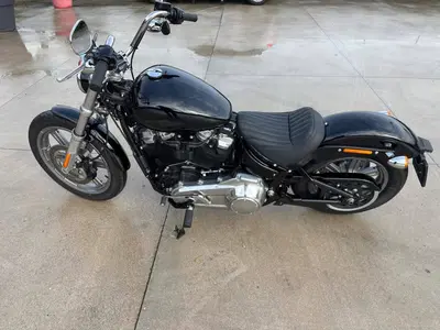 Harley-Davidson Softail Standard (2021 - 25) usata