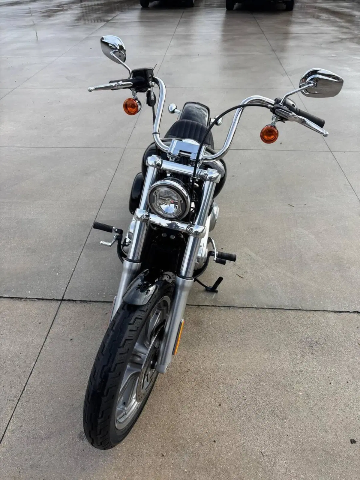 Harley-Davidson Softail Standard (2021 - 25) (4)