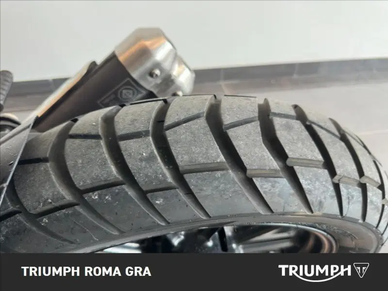 Triumph Scrambler 400 X (2024 - 26) (14)