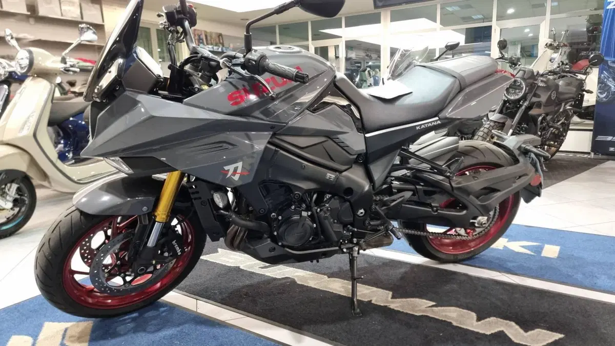 Suzuki Katana 1000 (2022 - 26) (3)