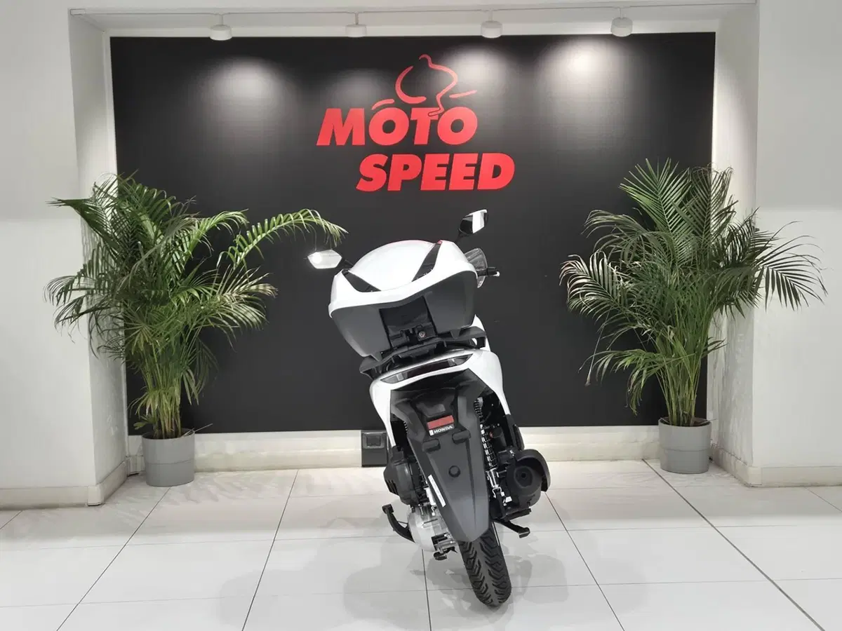 Honda SH 125 (2026) (7)