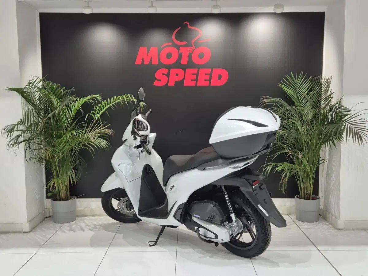 Honda SH 125 (2026) (5)