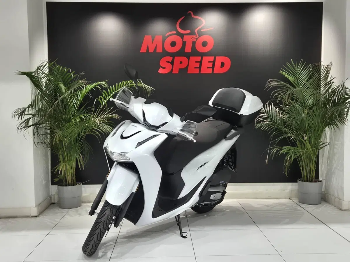 Honda SH 125 (2026) (4)