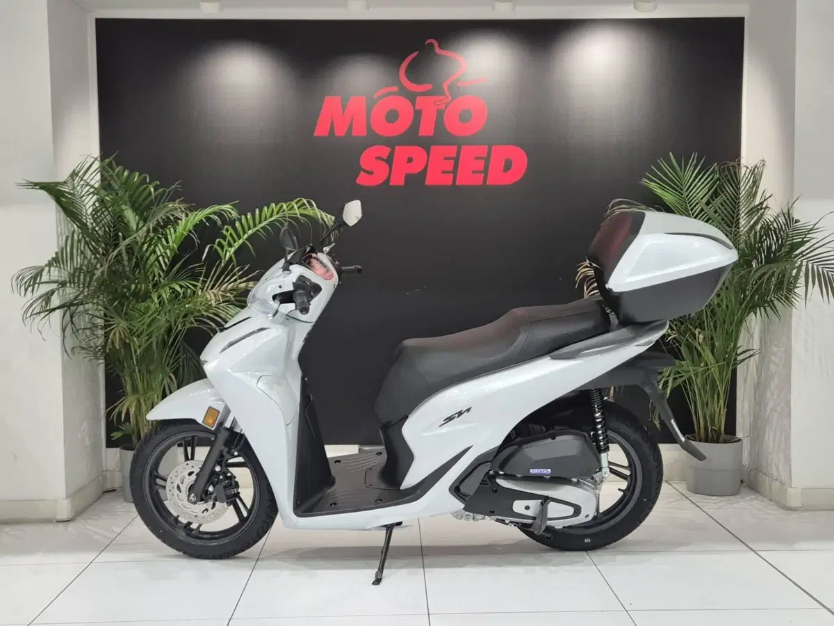 Honda SH 125 (2026) (6)