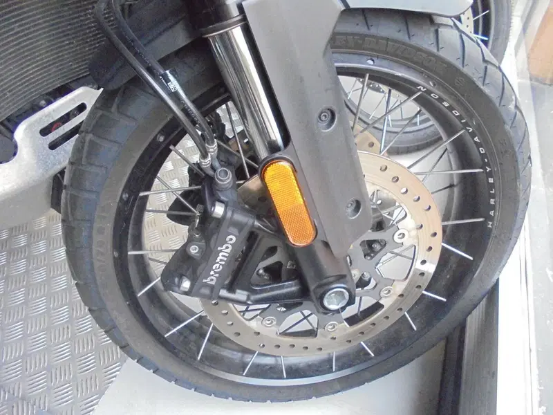Harley-Davidson Pan America 1250 Special (2020 - 25) (5)