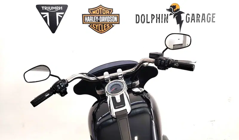 Harley-Davidson Sport Glide (2021 - 25) (14)