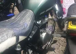 Kawasaki W 230 (2025 - 26) nuova