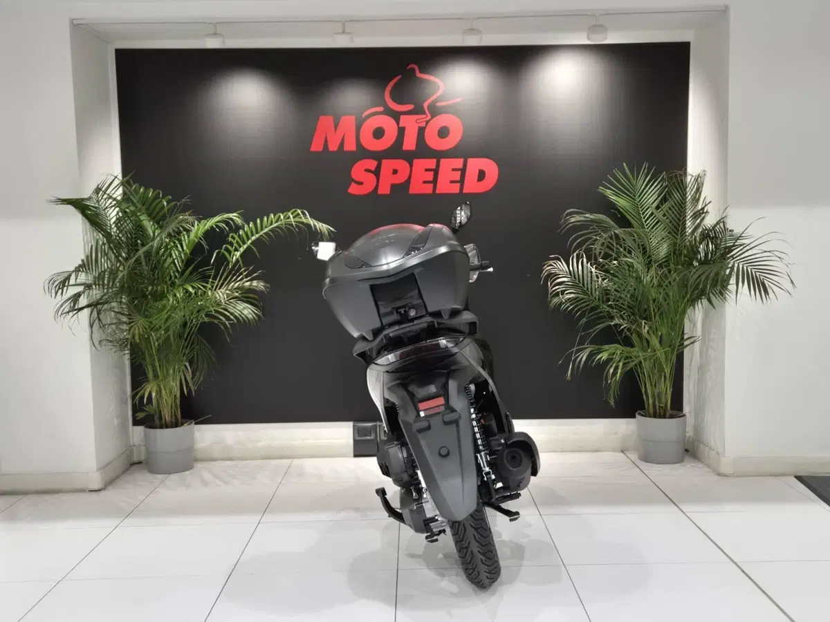 Honda SH 125 Sport (2026) (7)