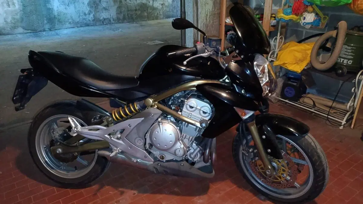 Kawasaki ER-6N (2006 - 09)
