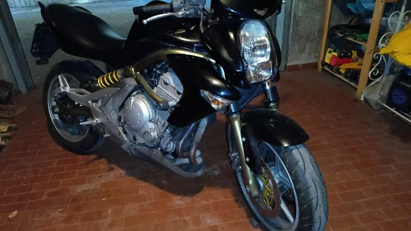 Kawasaki ER-6N (2006 - 09) (2)