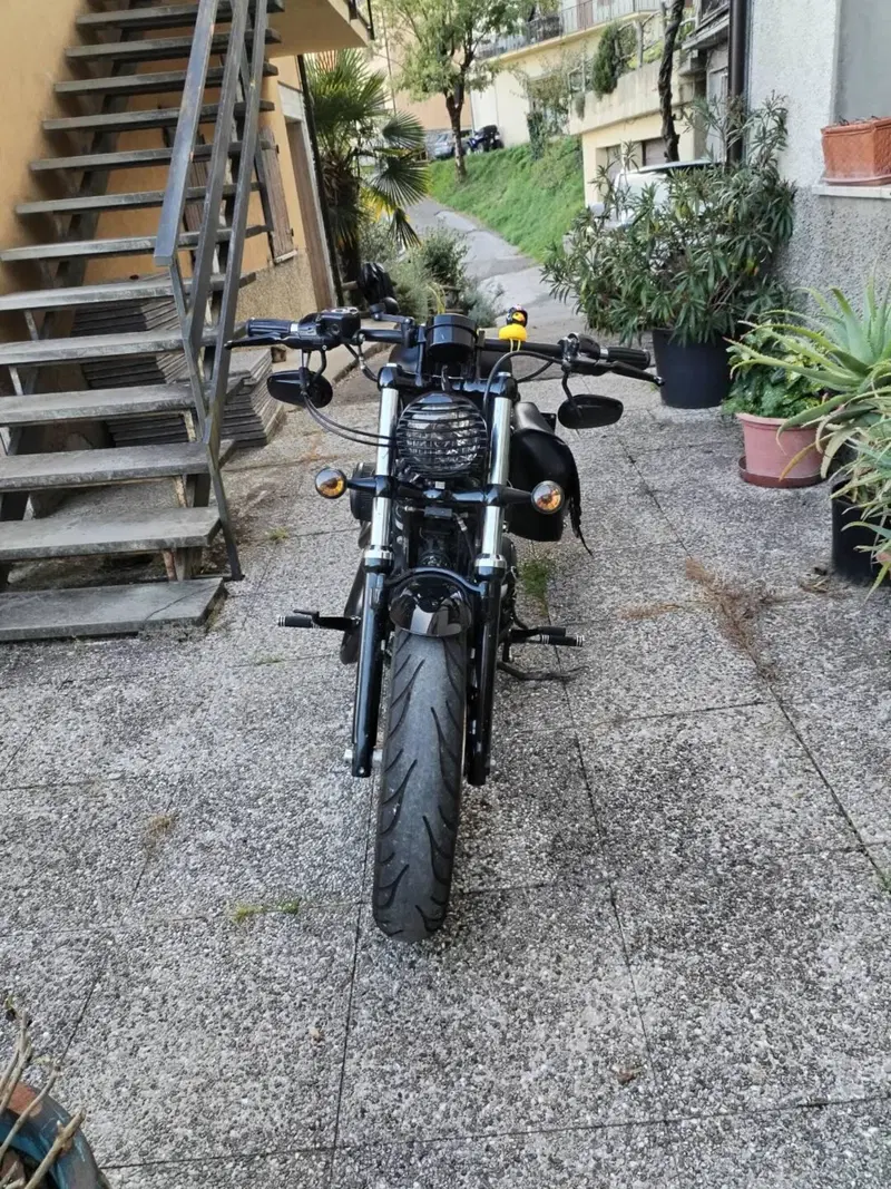 Harley-Davidson 1200 Forty-Eight (2010 - 15) (2)
