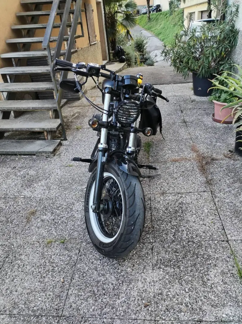 Harley-Davidson 1200 Forty-Eight (2010 - 15) (3)
