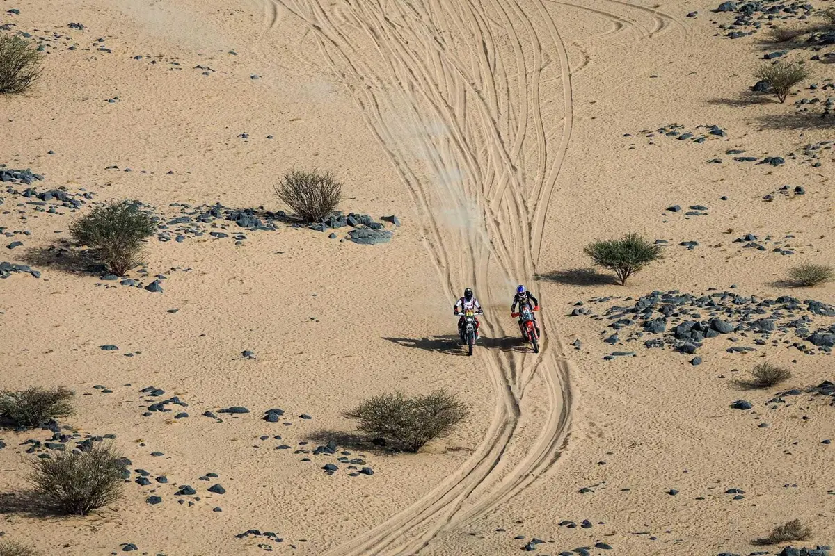 Dakar 2026. T12. Il sangue freddo di Brabec, Honda, e Al Attiyah, Dacia, la resistenza vana di Benavides, KTM, Roma e Ekstrom, Ford (2)