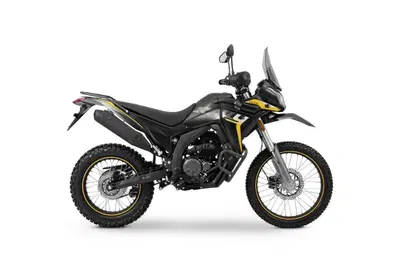 Voge Valico 300 Rally (2022 - 26) nuova