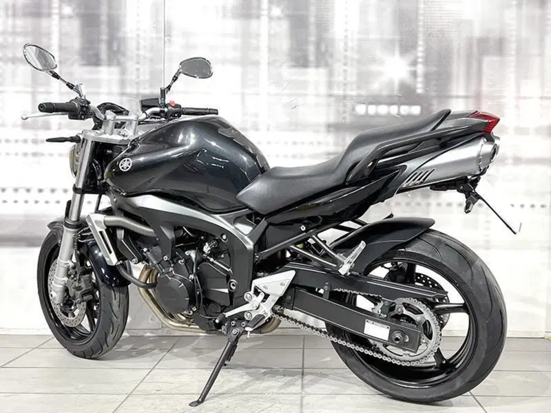 Yamaha FZ6 (2004 - 07) (2)