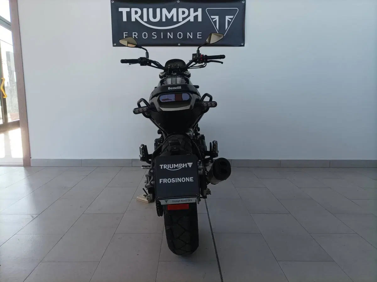 Benelli Leoncino 500 Trail (2021 - 26) (4)