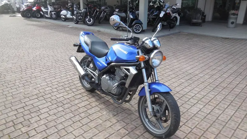 Kawasaki ER-5 500 (2001 - 06) (3)