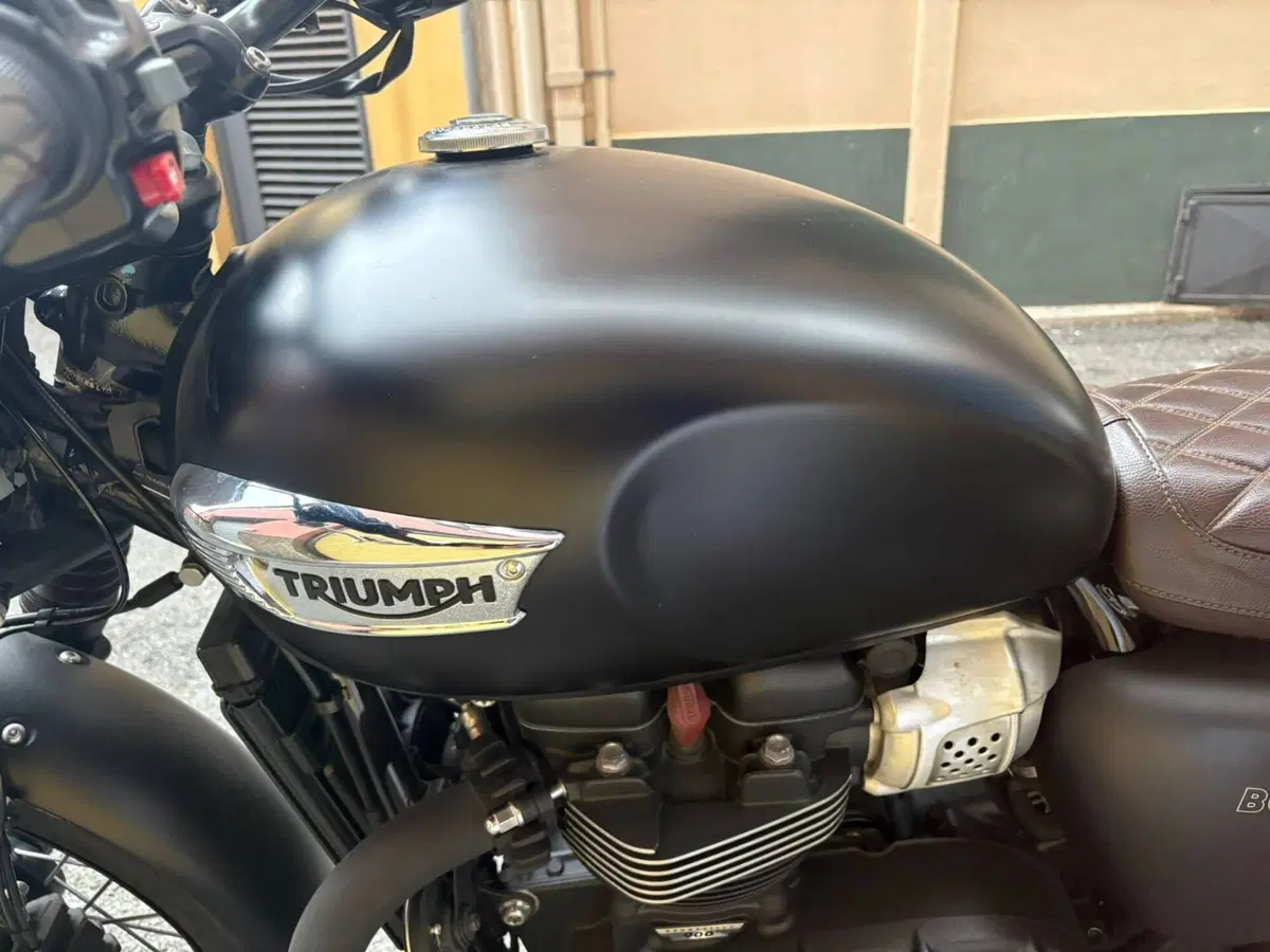 Triumph Bonneville T100 Black (2017 - 20) (12)