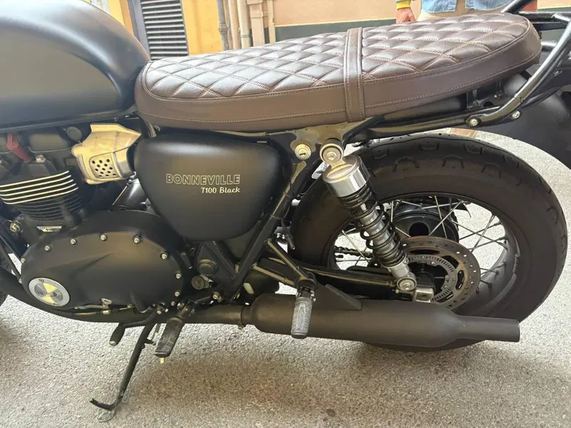 Triumph Bonneville T100 Black (2017 - 20) (14)